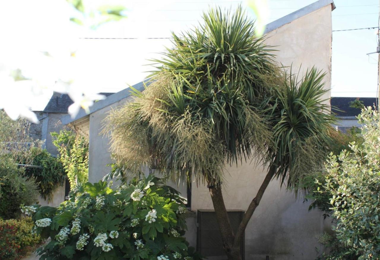 Duplex Confort Et Jardin Charmant Nantes Eksteriør bilde
